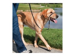 Imagen del producto Easy walk collar de manejo para perros   negro grande